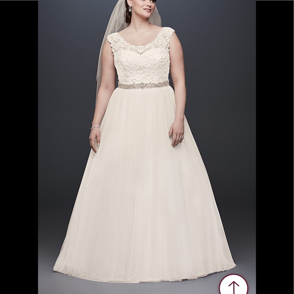 David’s Bridal Tulle and Scroll Lace Wedding Dress